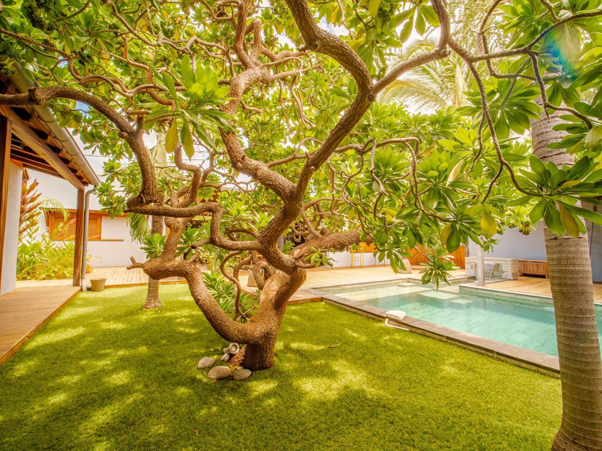 La Kaz Veloutier - Villa 4 Chambres Avec Piscine Ла-Салін-ле-Бен Екстер'єр фото
